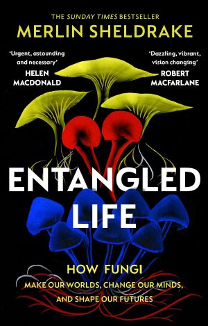 Entangled Life: