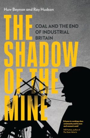 The Shadow of The Mine