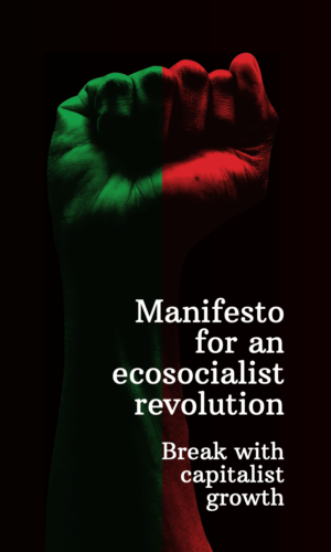 Manifesto for an ecosocialist revolution