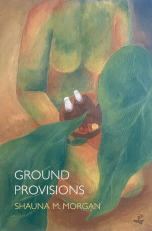 Ground Provisions