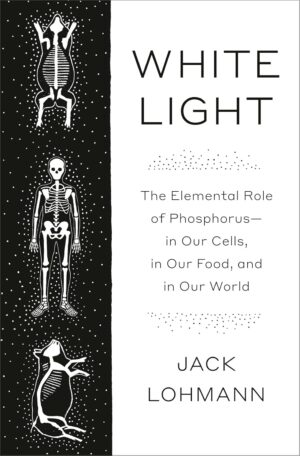 White Light : The Essential Element that Changed the World
