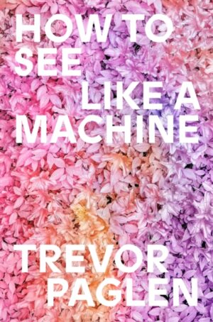 How to See Like a Machine : Images After AI